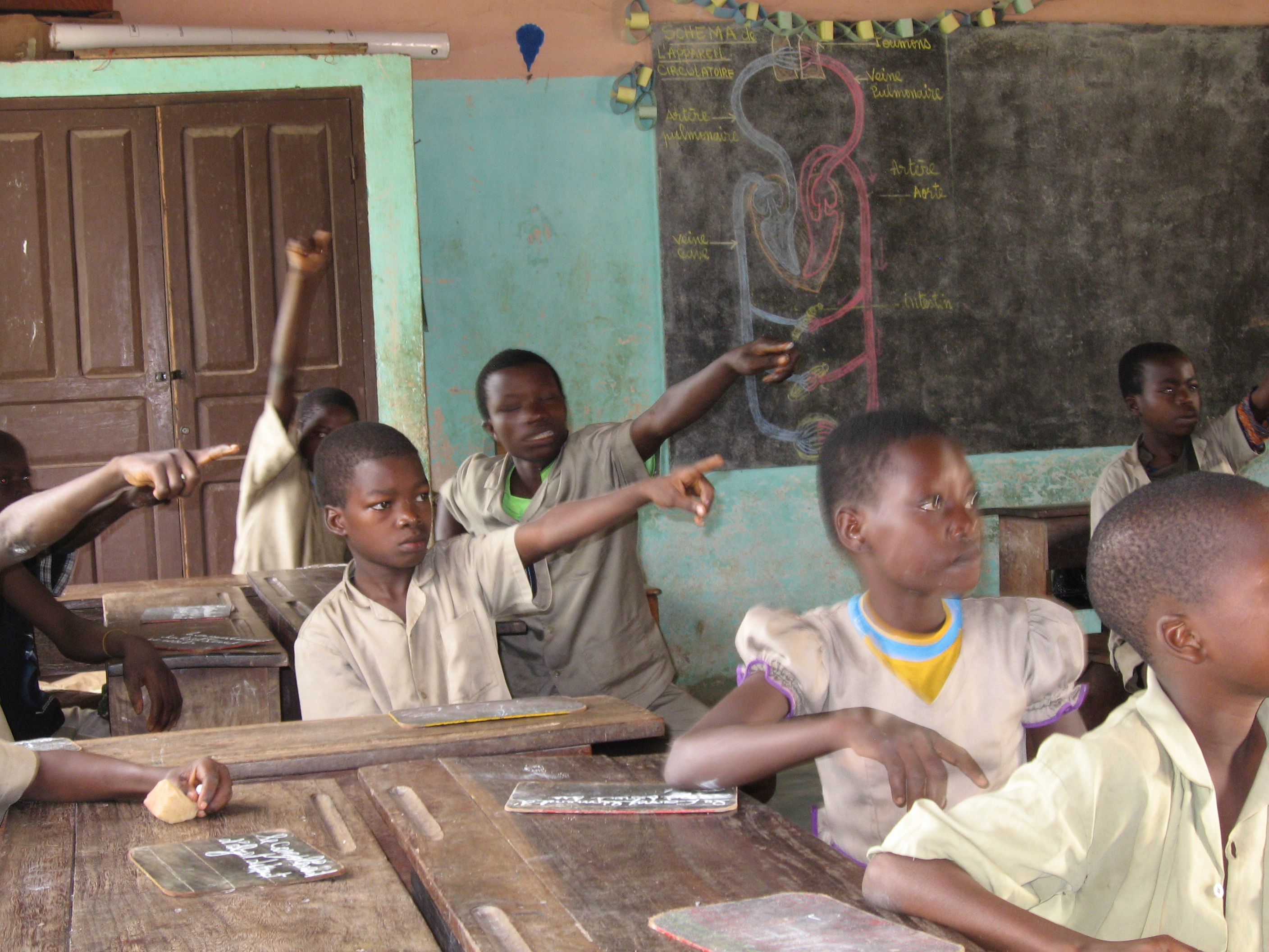 Photo couverture Tribune : L'éducation mondiale mérite des actes courageux !